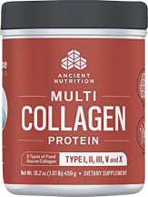 ANCIENT NUTRITION product image.